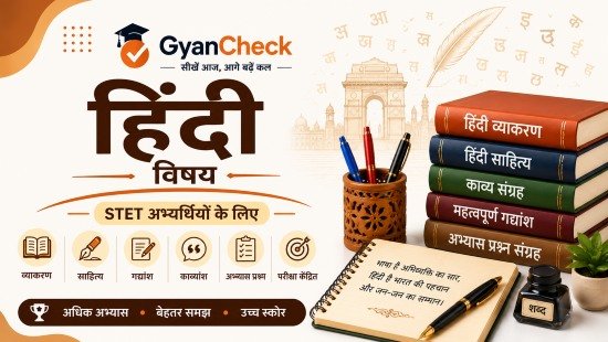 STET Hindi Test Series